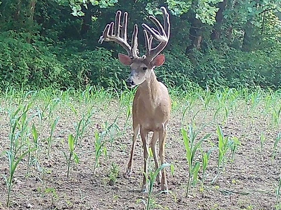 1st image of 0 Blue Creek Rd