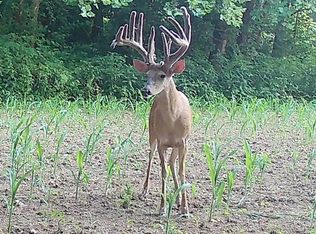 0 Blue Creek Rd, Stout, OH 45684