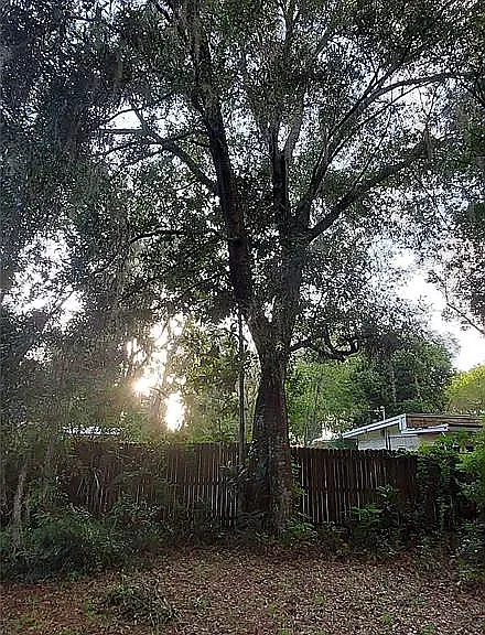 1115 NW 22nd Ave — Photo 14