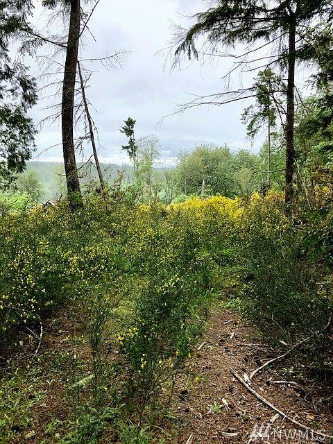 2nd image of 0 184th Ave SW