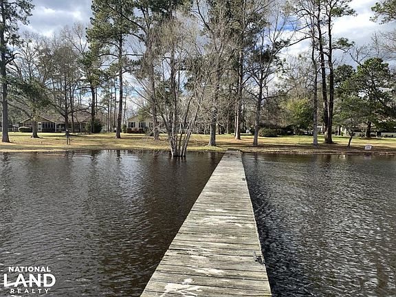 Shore View From The Pier/Dock
