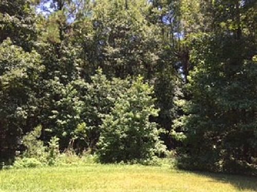 1st image of 16505 NW 116th Ct