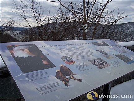 Eagle viewing from Bear Mt. scenic view