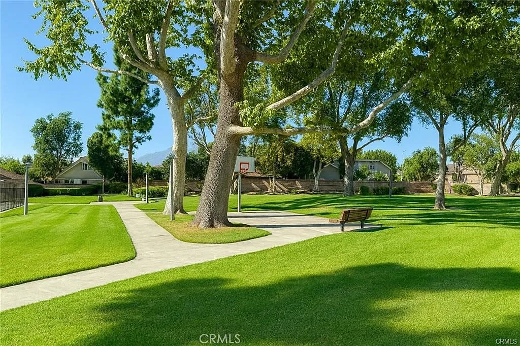 2 bed, 1000 sqft, $2,800 — Photo 4