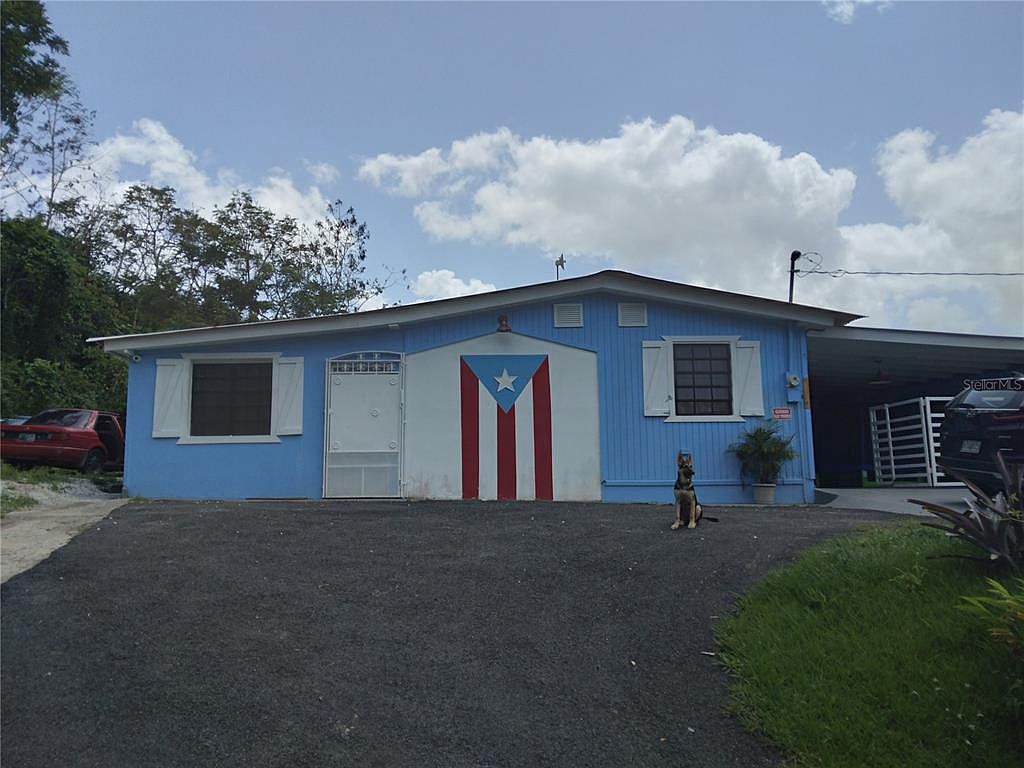 Carr 156 R777 Km 1.4 Calle, Aguas Buenas, PR 00703 MLS PR9106269