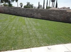 5th image of 9467 Poplar Ave