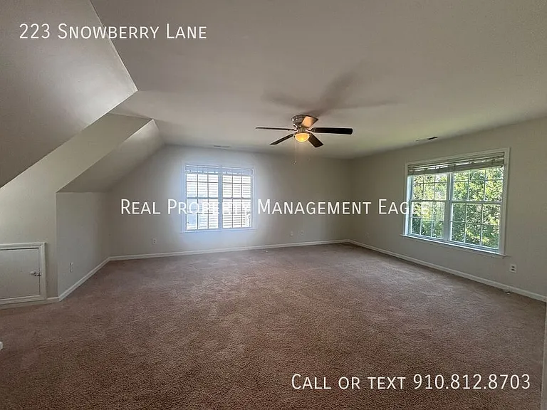 223 Snowberry Ln — Photo 19