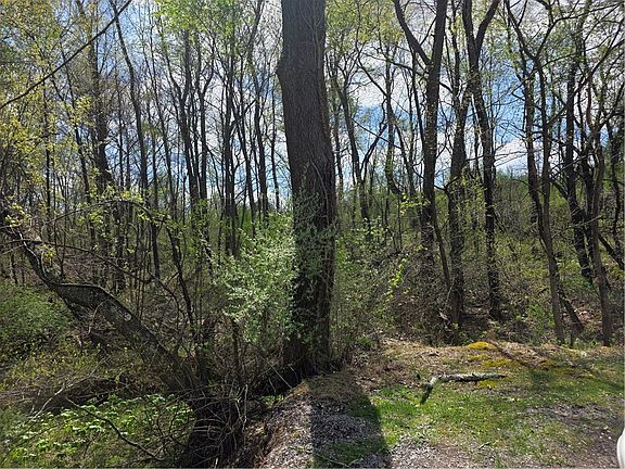 3rd image of 242 Walker Rd