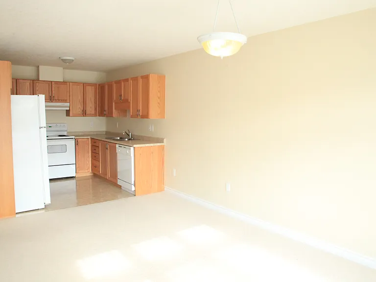 619 Wild Ginger Ave — Photo 8