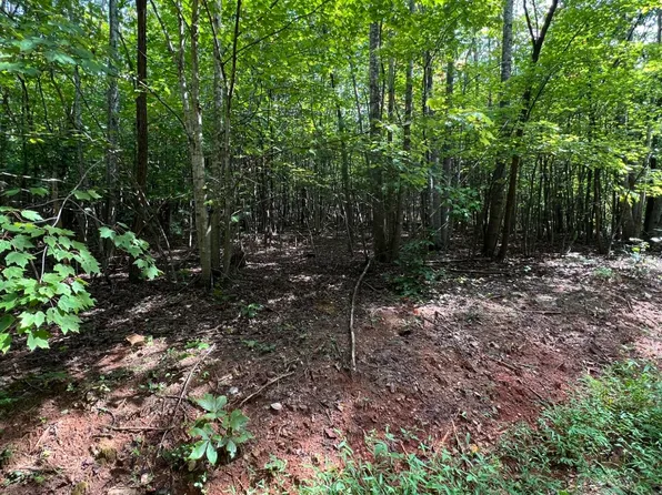 0 Sawmill Rd, Ferrum, VA 24088