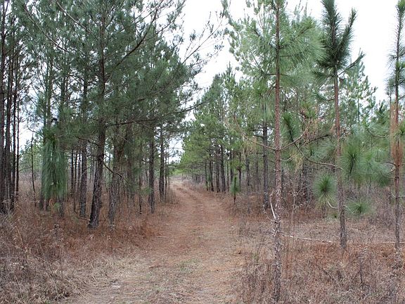 3rd image of Ronnie Rd