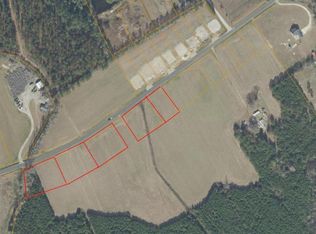 Tbd Brown Swamp Rd, Conway, SC 29527