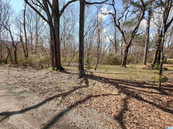 0 Meadow Cir #0, Sylacauga, AL 35151