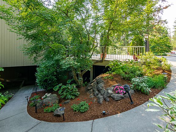 4th image of 1311 E Sara Ln