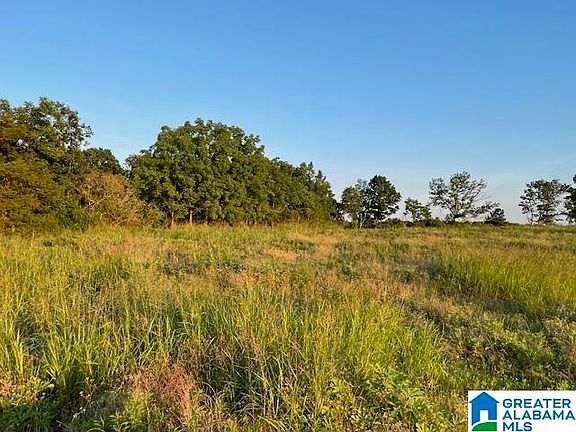 5th image of 0 Jones Chapel Loop #1