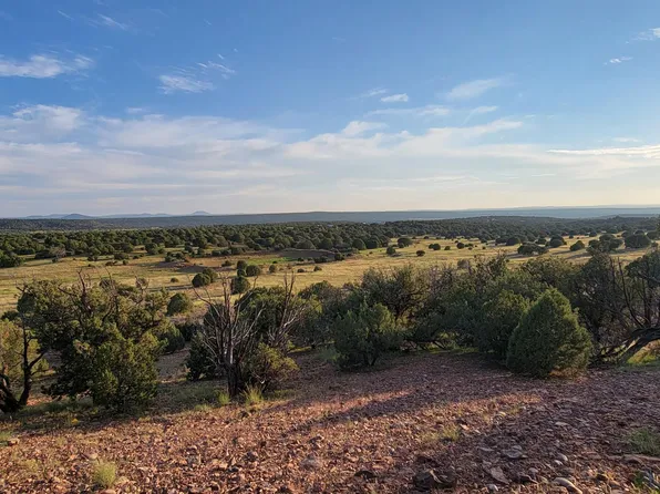 County Road 8288, Concho, AZ 85924