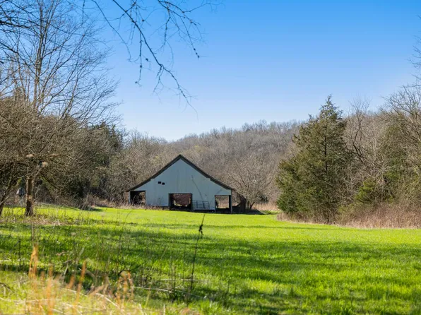 4250 Delina Rd, Cornersville, TN 37047