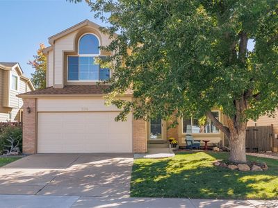576 S Lindsey Street, Castle Rock, CO, 80104