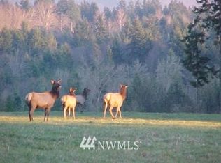 31208 555th St E, Ashford, WA 98304