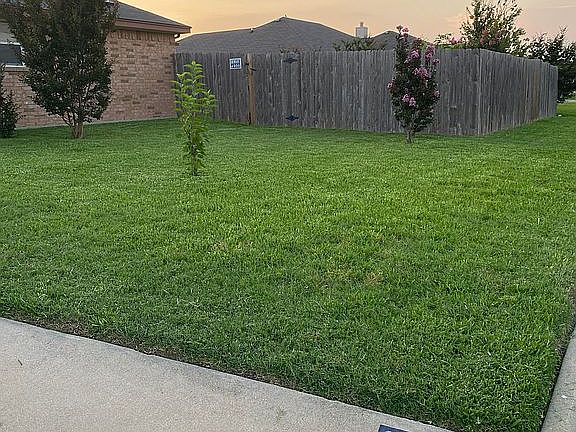 Side yard off the driveway 