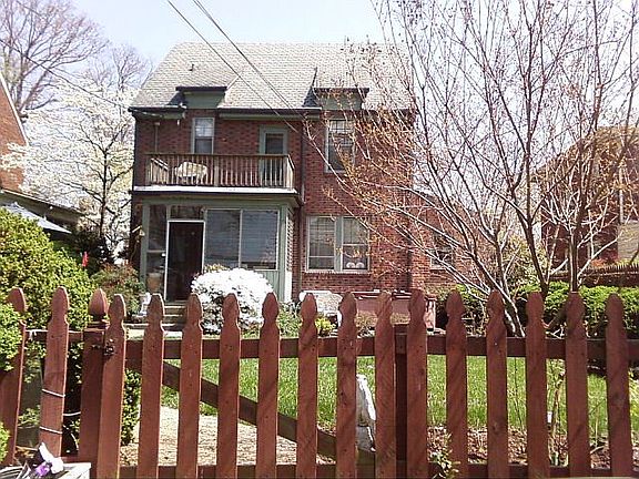 Backyard from parking pad