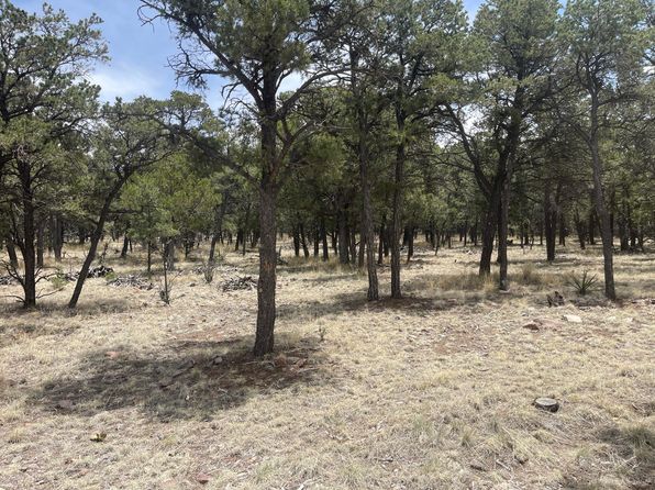 30 Hop Canyon Rd, Magdalena, NM 87825