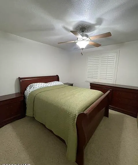 2875 Arabian Dr — Photo 40