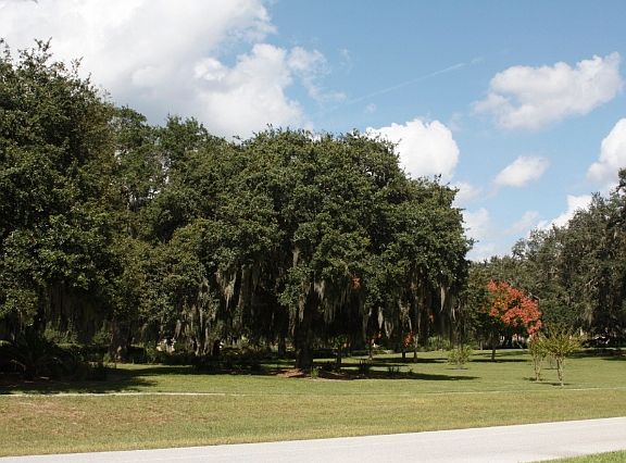 2nd image of 23544 Oak Prairie Cir