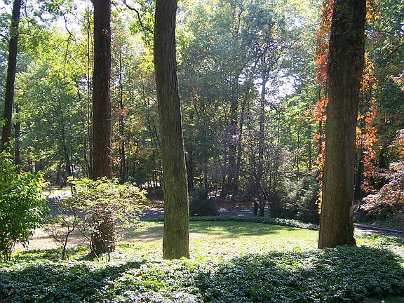 View from the front doorstep of the home