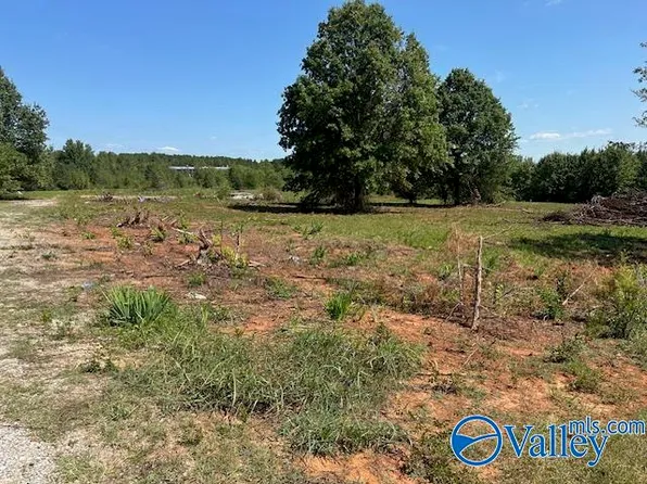 Rosie Rd, Tanner, AL 35671