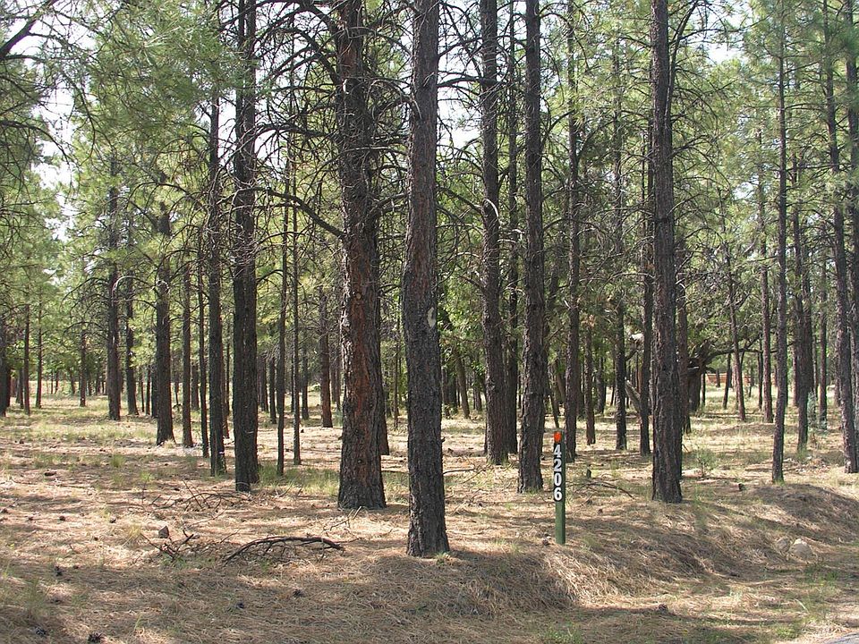 4206 Timberline Dr, Happy Jack, AZ 86024 MLS 83352 Zillow