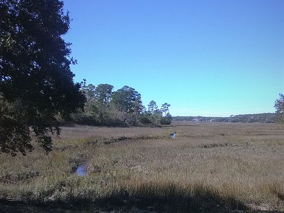 Marsh View