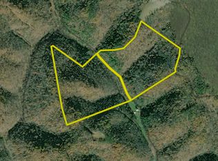 Leatherbark Rd LOT WP001, Smithville, WV 26178