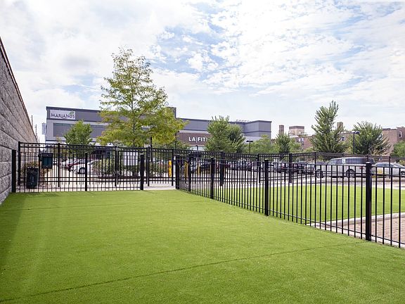 Grass Area