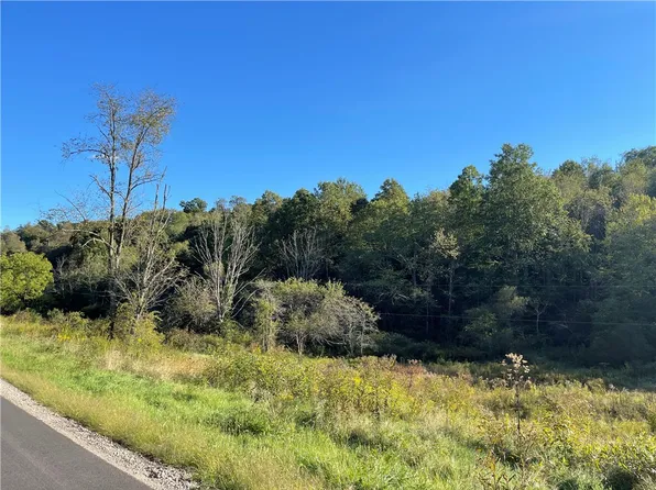 237 Tantlinger Hollow Dr, Bolivar, PA 15923