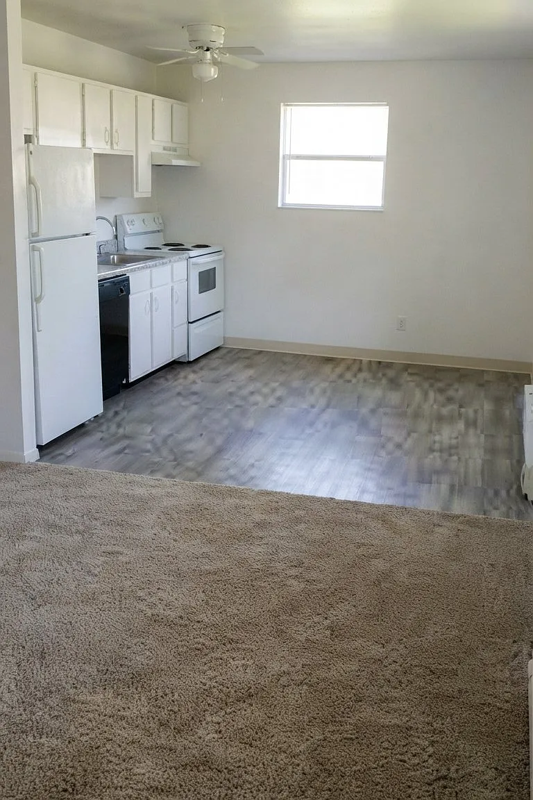Newly renovated apartments — Photo 3