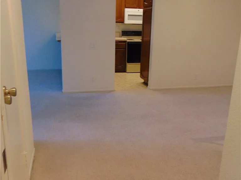 2203 Apricot Dr — Photo 10