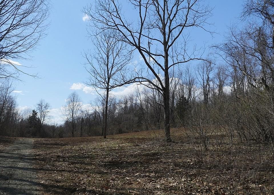 1st image of Chestnut Tower Ln