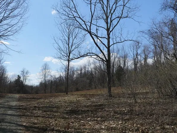 Chestnut Tower Ln, Max Meadows, VA 24360