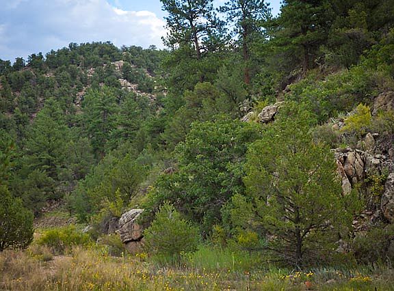 3rd image of 8532 County Road 28