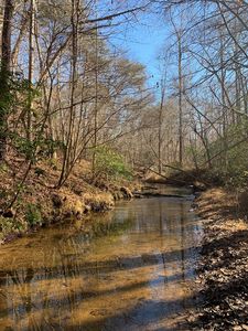 Hat Creek Rd, Brookneal, VA, 24528
