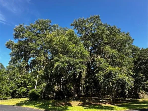 LOT 610 NE Blue Heron Ln, Townsend, GA 31331