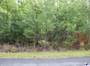 1 Family Rd, Mc Bee, SC 29101