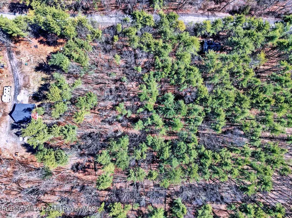 42 Pine Creek Drive, Catskill, NY 12414