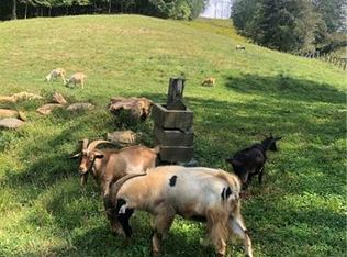 3936 Nc Highway 197, Green Mountain, NC 28740
