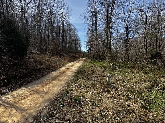 3rd image of 301 Bobcat Rd