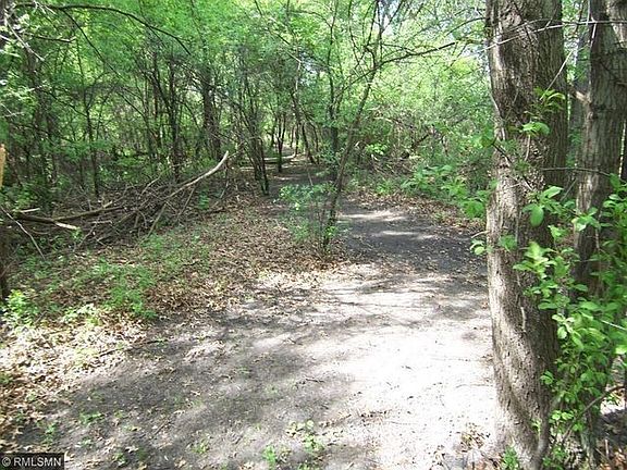 Path Into Woods - Far Right
