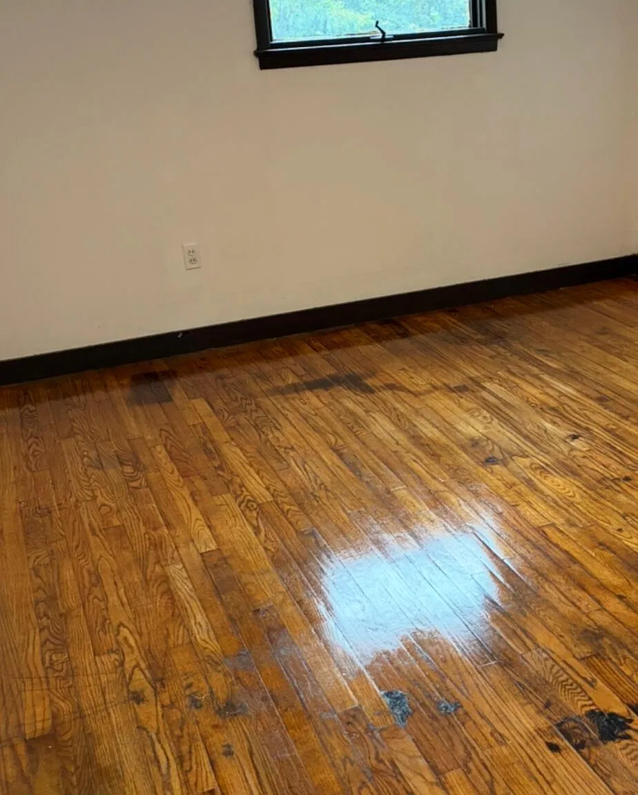 3 bed, 1300 sqft, $1,100 — Photo 4