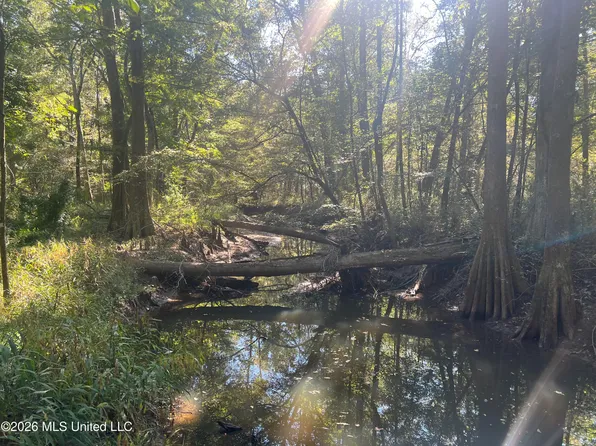 N Red Hill Florence Rd, Sandersville, MS 39477