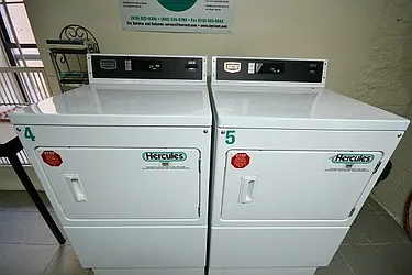 Rented by Bold New York